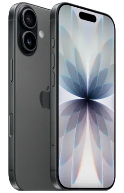 Apple iPhone 17 256GB Preto